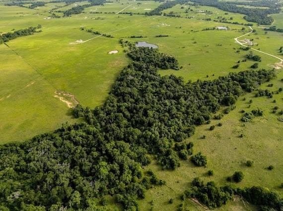 165.83 acres in Robertson County - photo 3