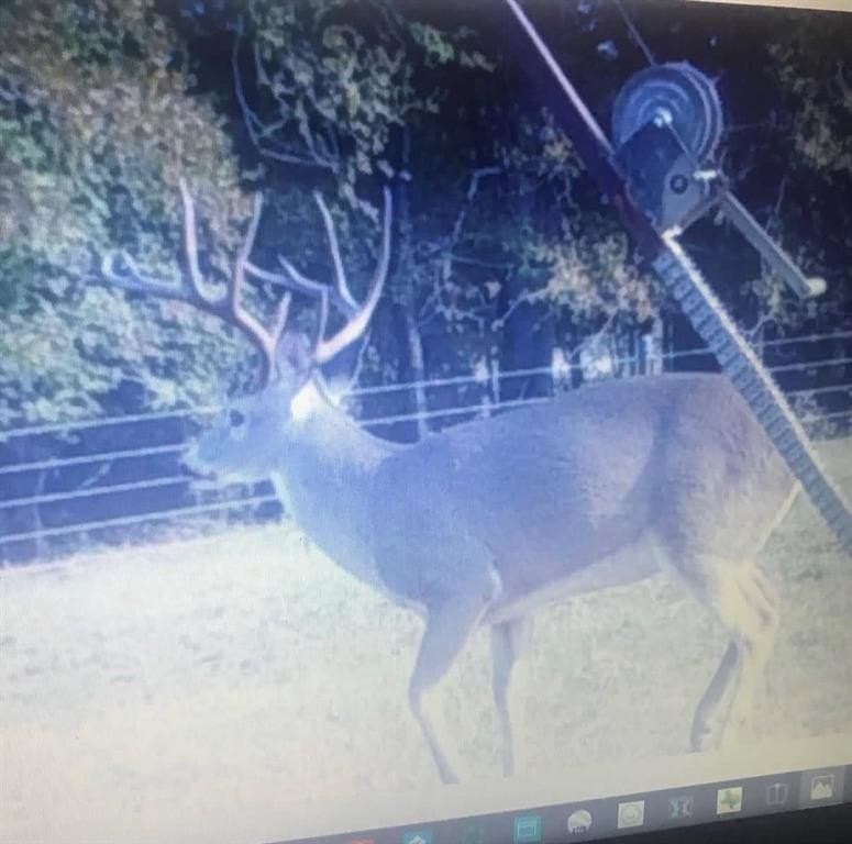 165.83 acres in Robertson County - photo 32
