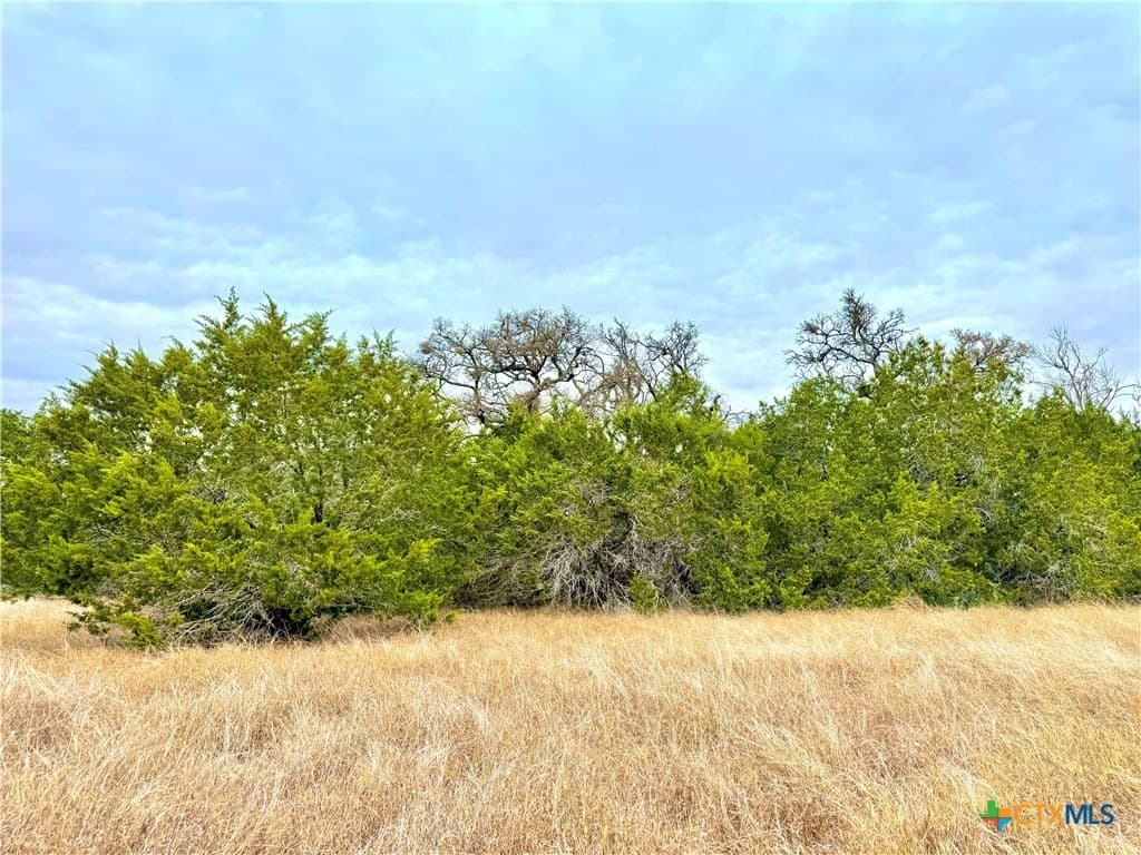 1.7 acres in Comal County - photo 7