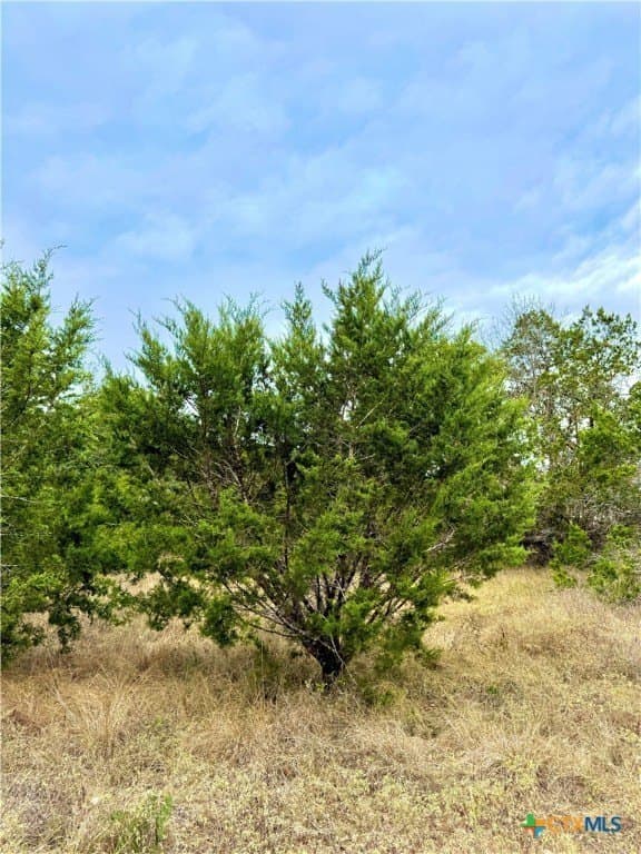 1.7 acres in Comal County - photo 8