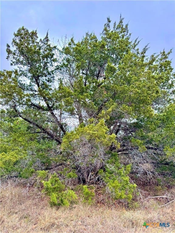 1.7 acres in Comal County - photo 3