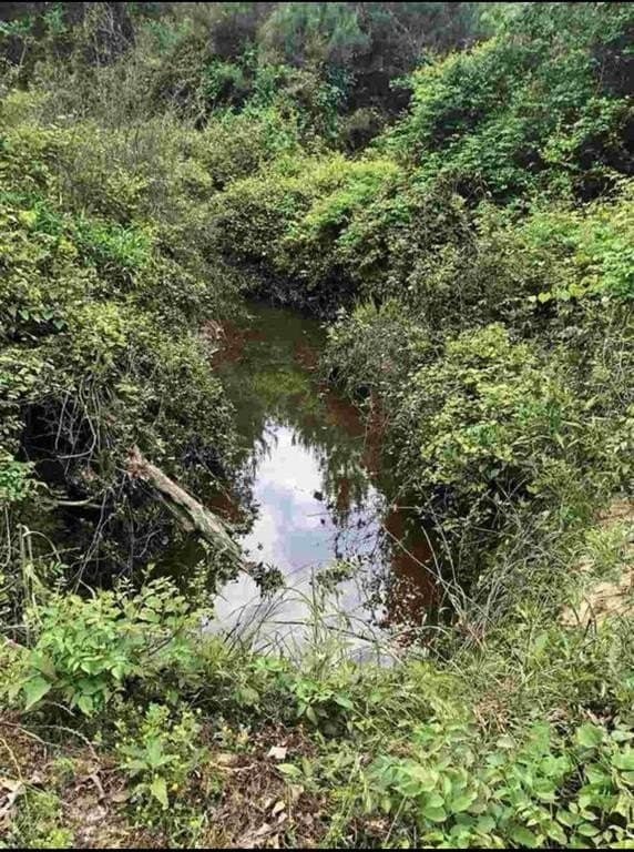 34.95 acres in Upshur County - photo 3
