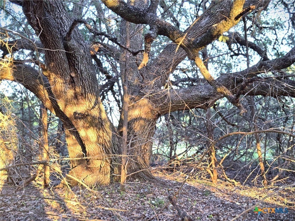 15 acres in Burnet County - photo 14