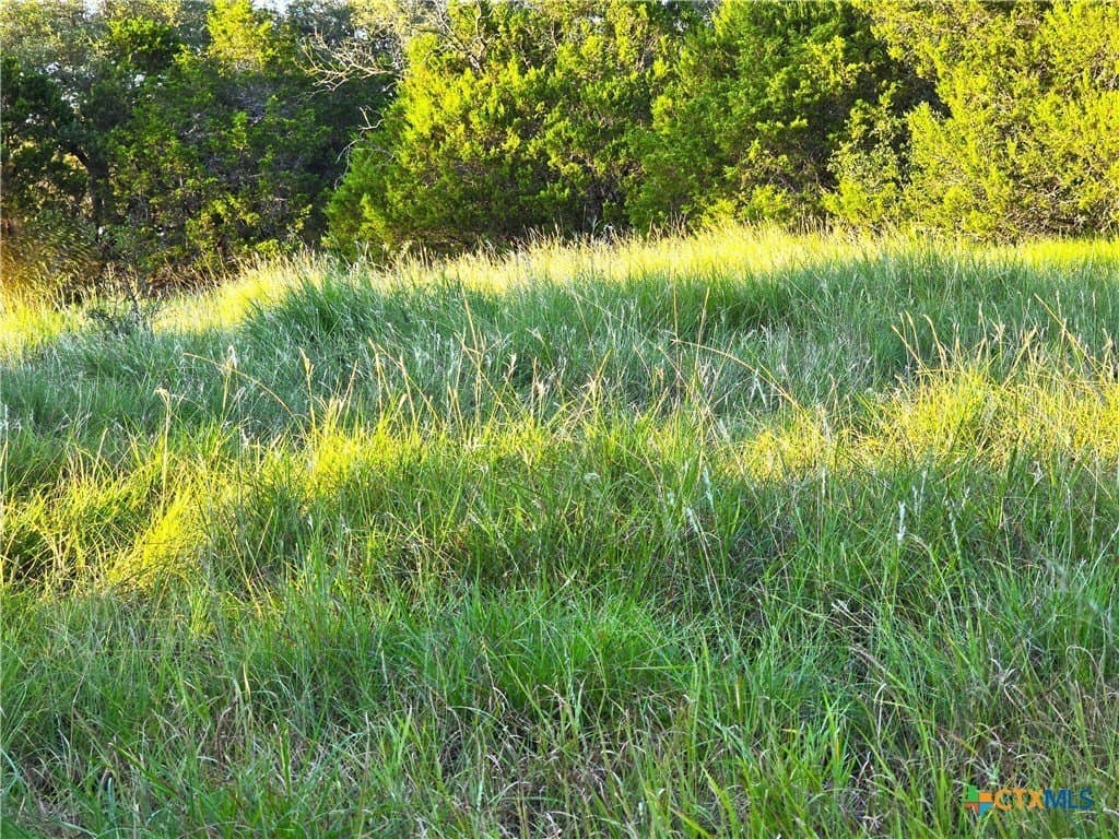 15 acres in Burnet County - photo 6