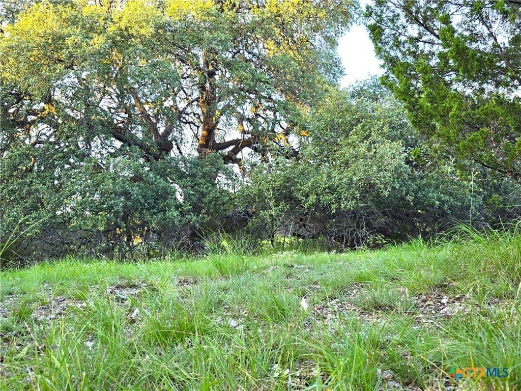15 acres in Burnet County - photo 10