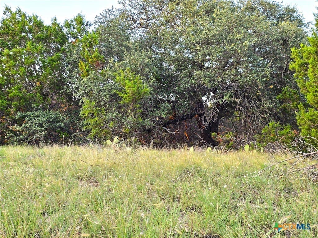 15 acres in Burnet County - photo 15