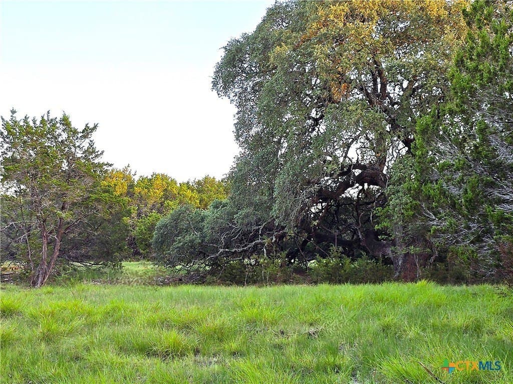 15 acres in Burnet County - photo 19