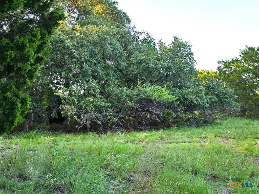 15 acres in Burnet County - photo 8