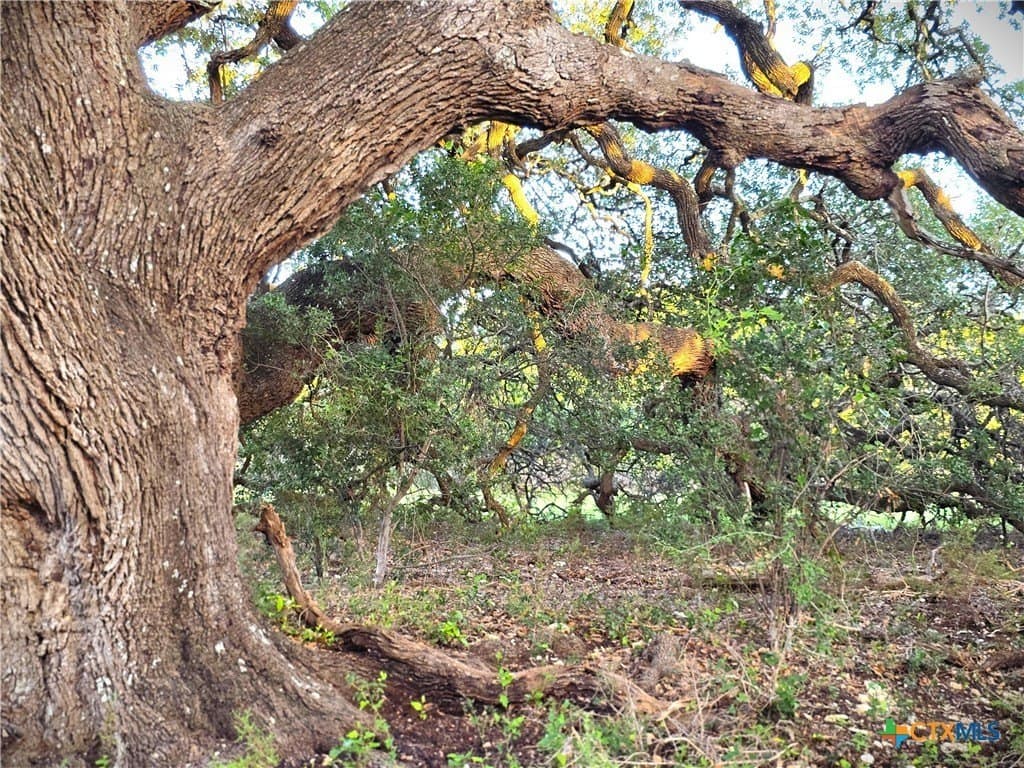 15 acres in Burnet County - photo 12