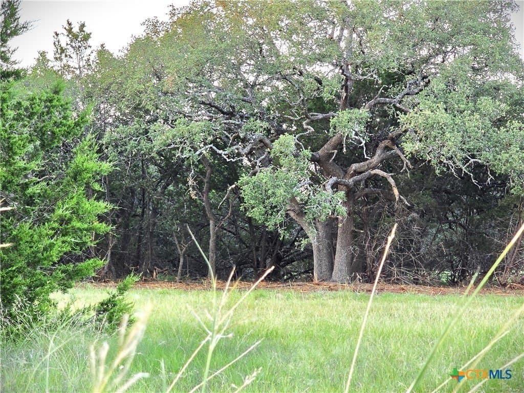 15 acres in Burnet County - photo 22