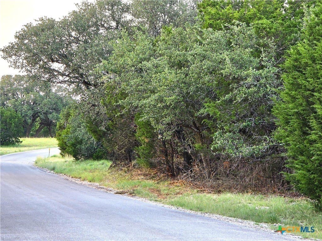 15 acres in Burnet County - photo 4