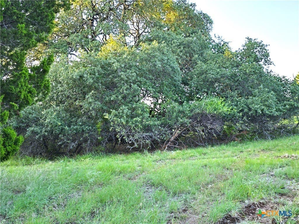 15 acres in Burnet County - photo 7