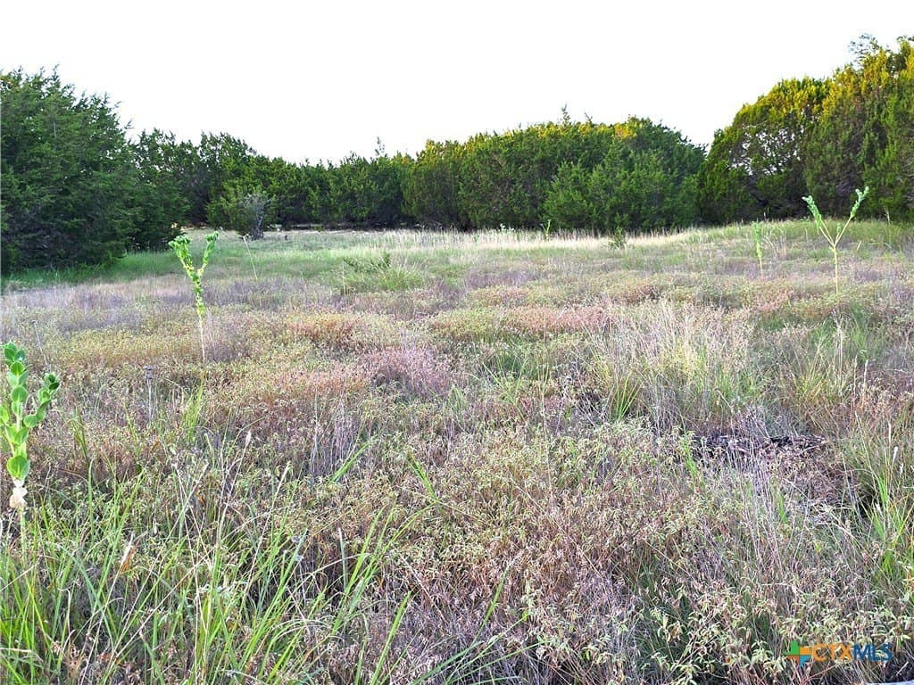 15 acres in Burnet County - photo 17