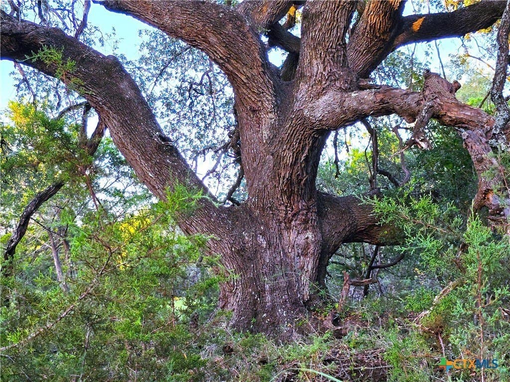 CR 206