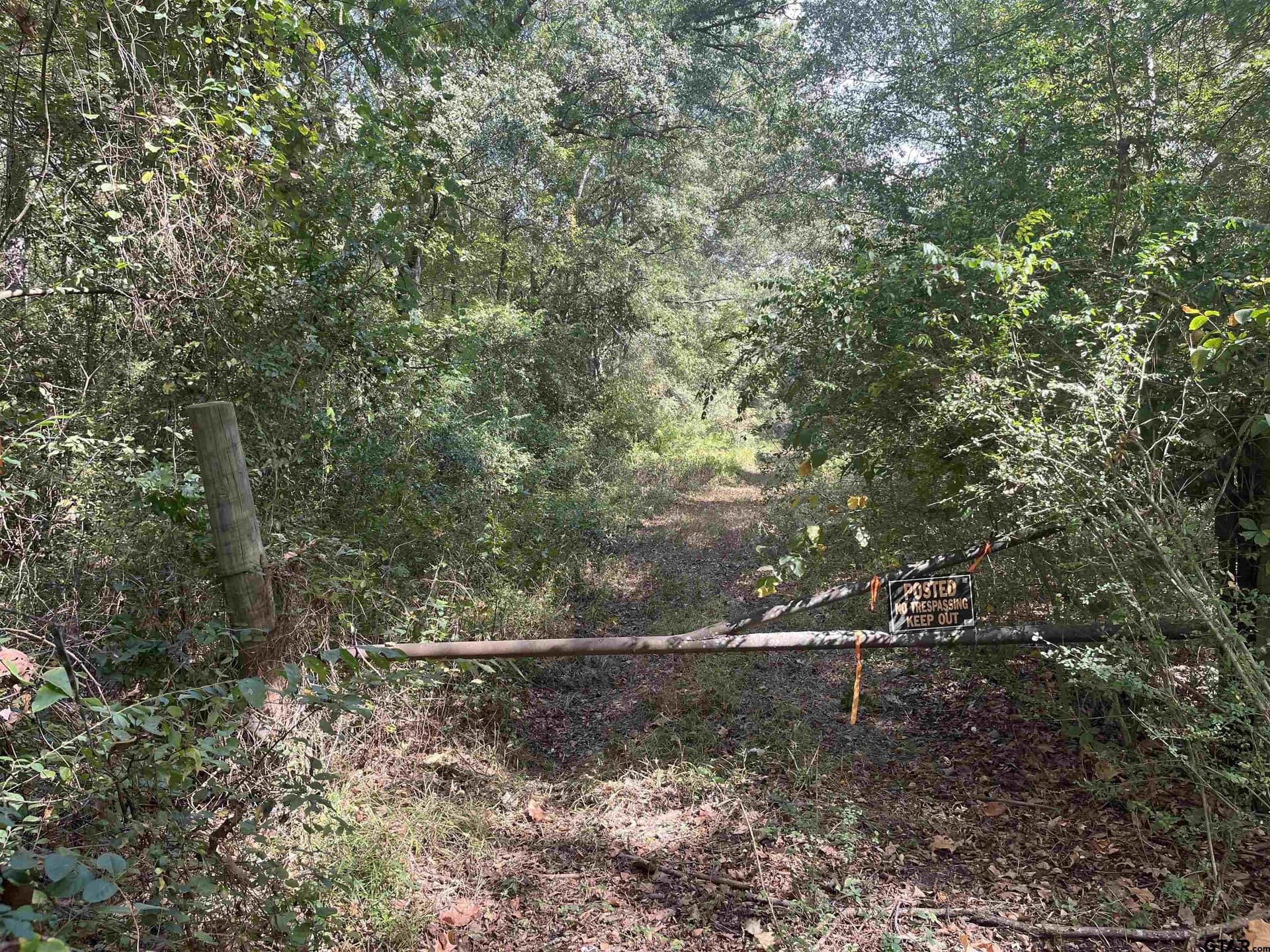 100 acres in Titus County - photo 5