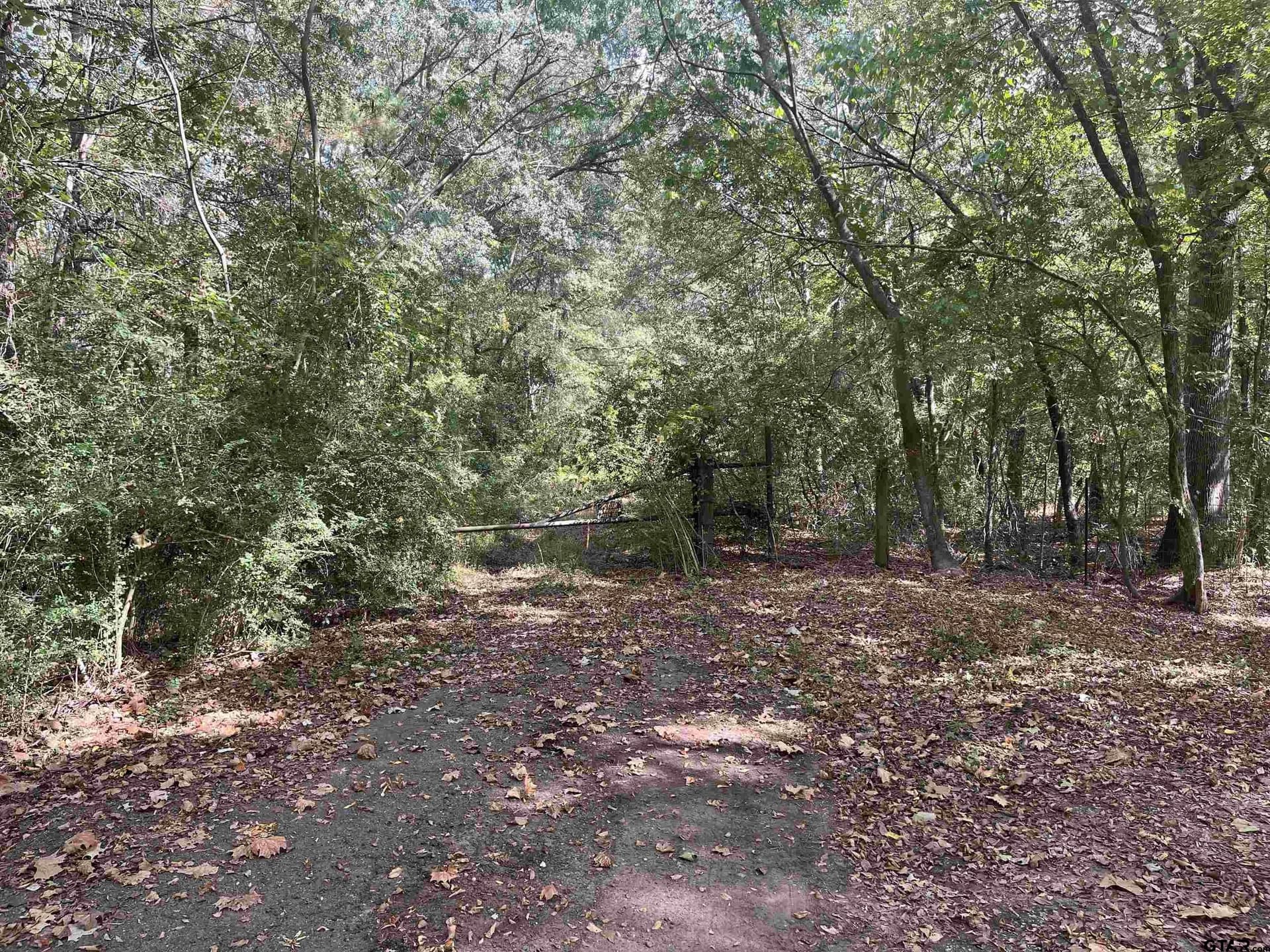 100 acres in Titus County - photo 4