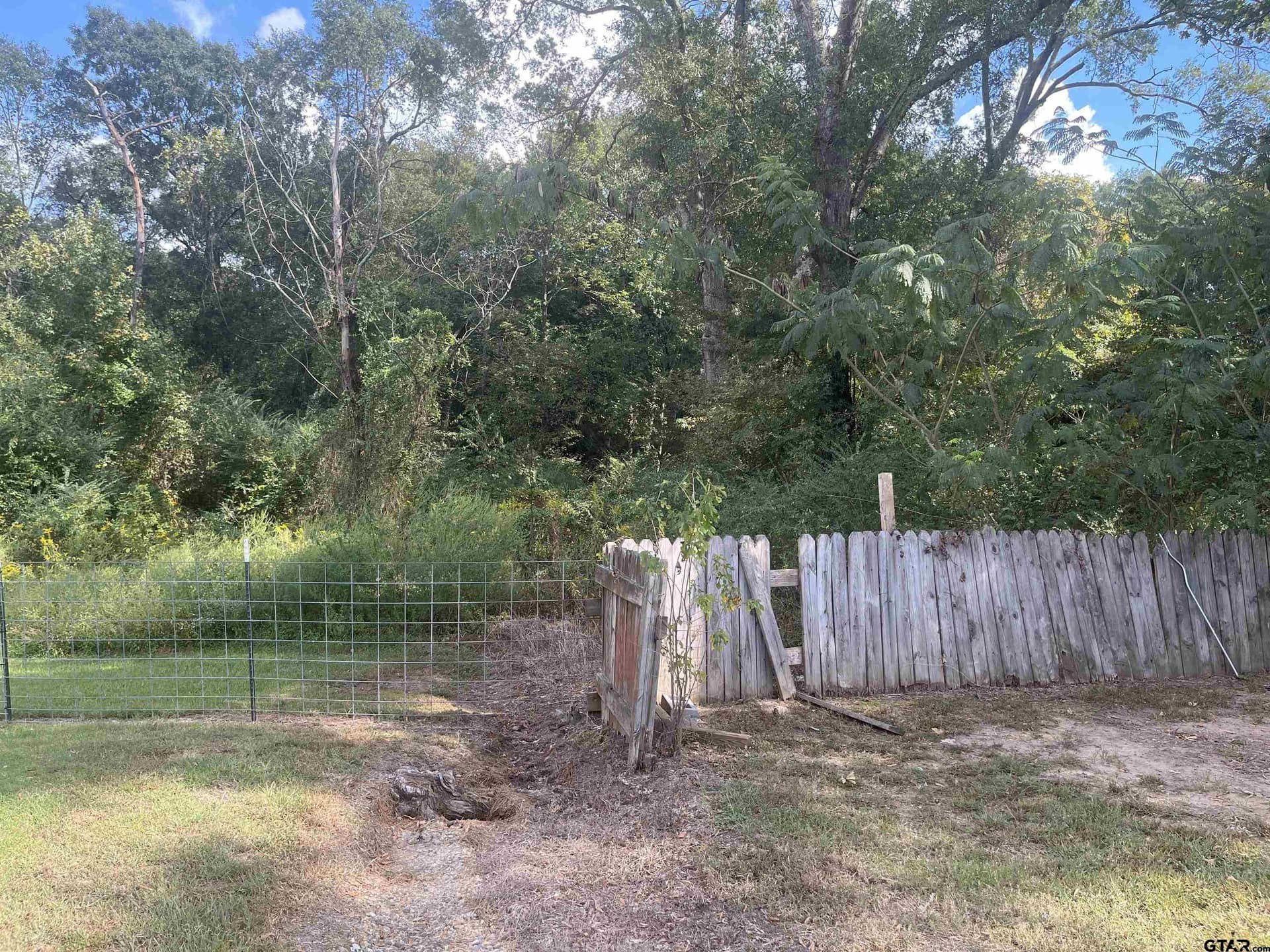 100 acres in Titus County - photo 7