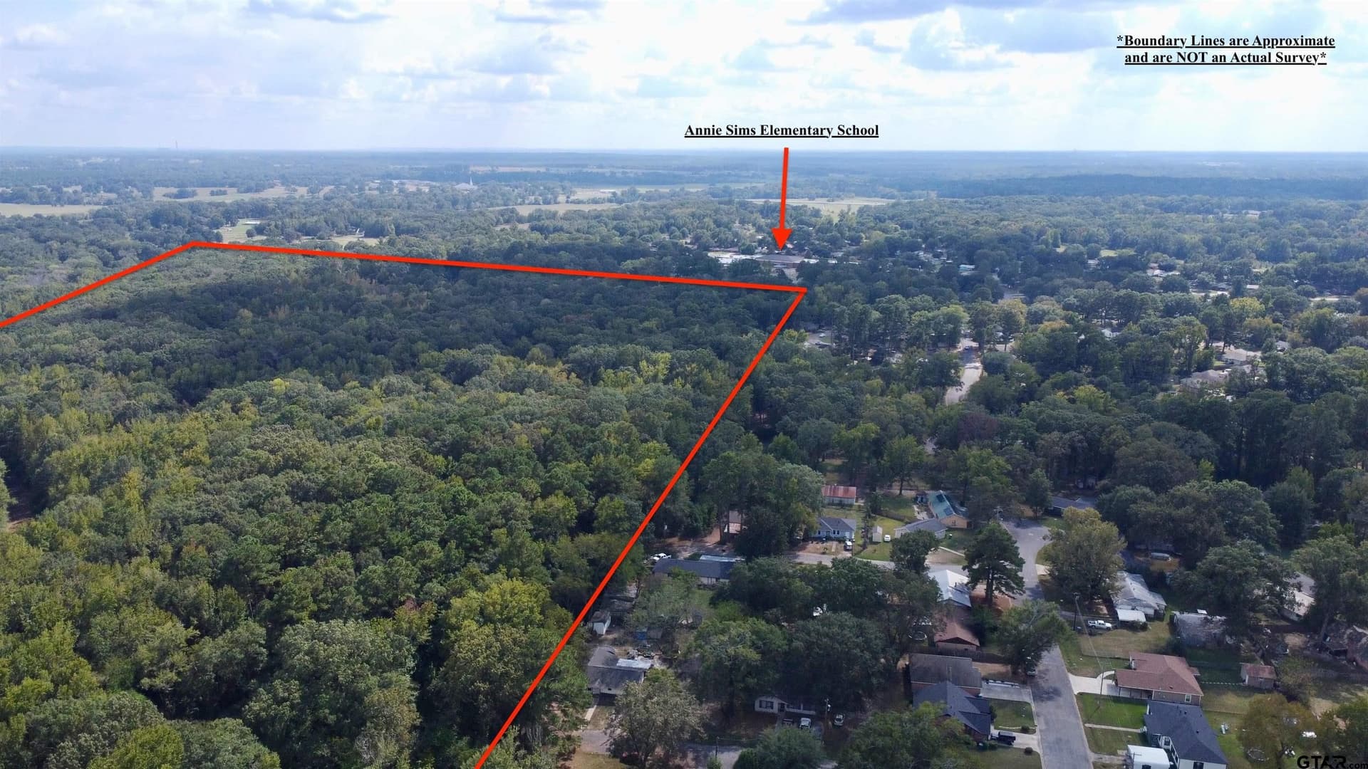 100 acres in Titus County - photo 13