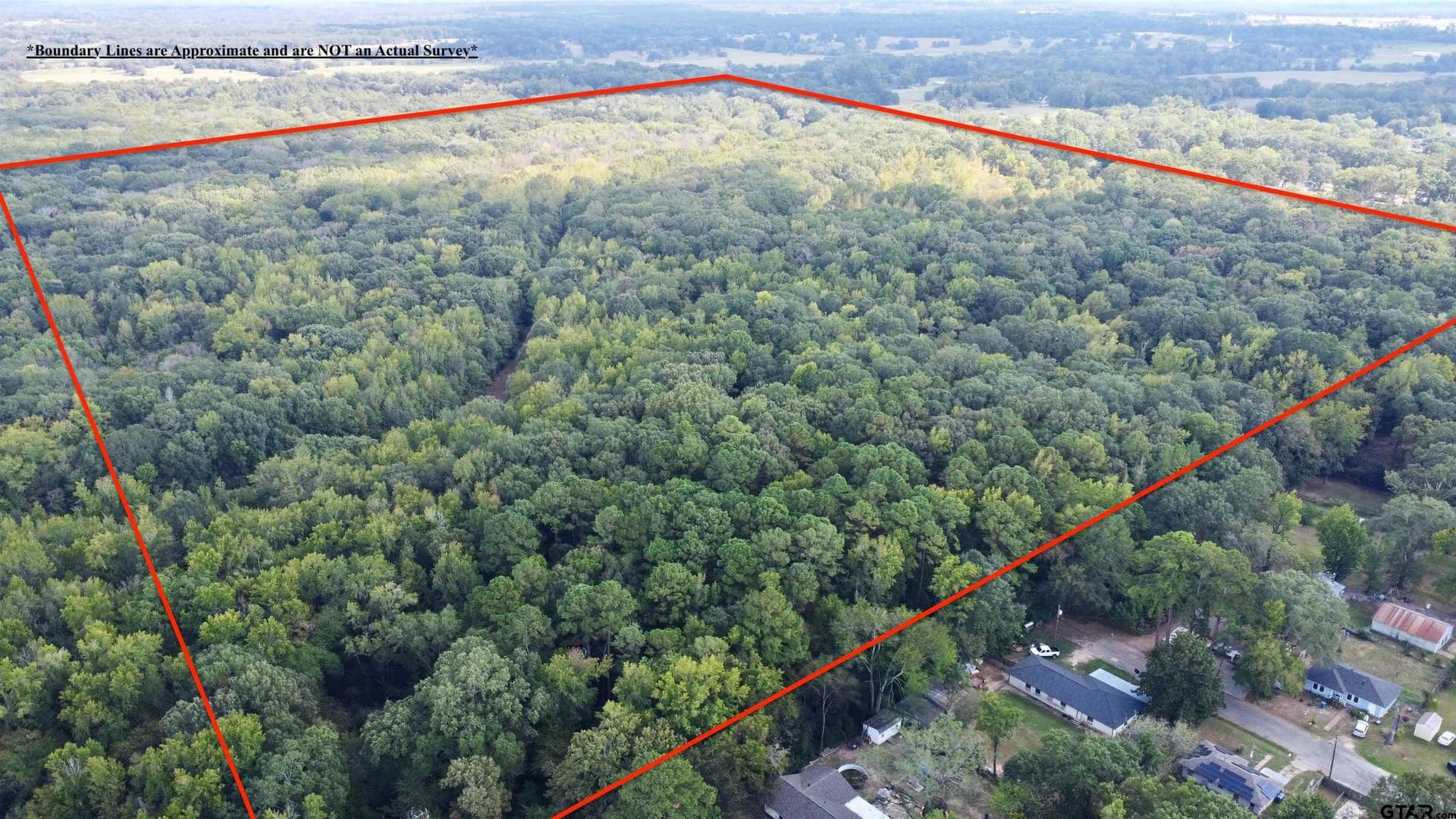 100 acres in Titus County - photo 2