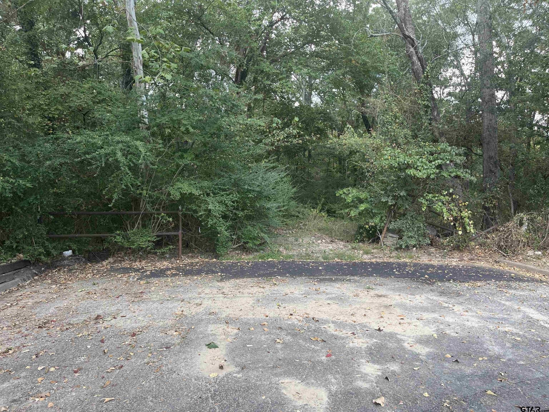 100 acres in Titus County - photo 9