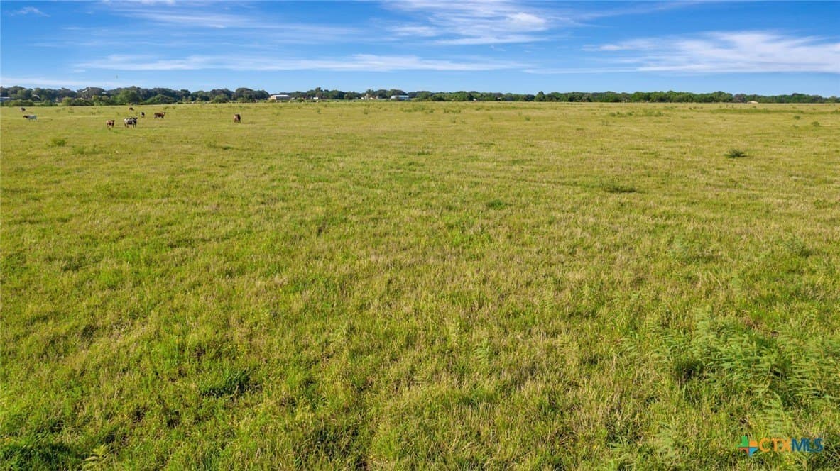 109 acres in Calhoun County - photo 18