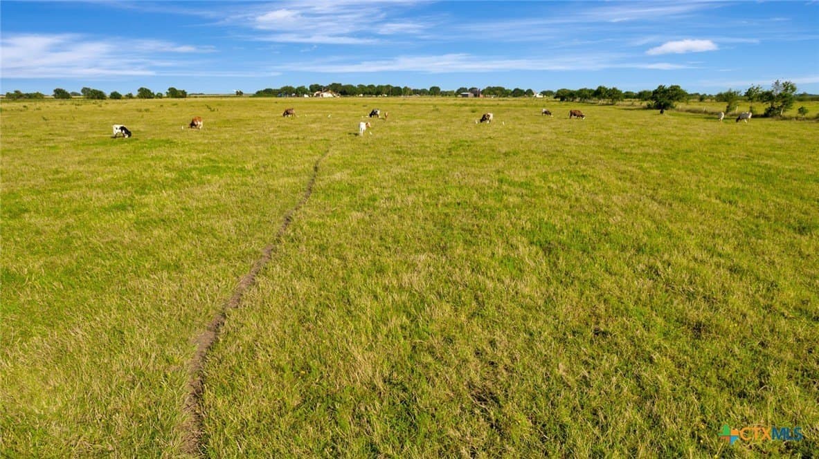 109 acres in Calhoun County - photo 17