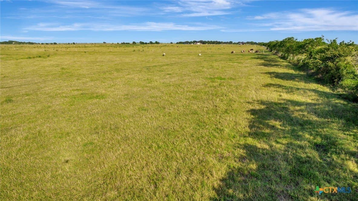 109 acres in Calhoun County - photo 14