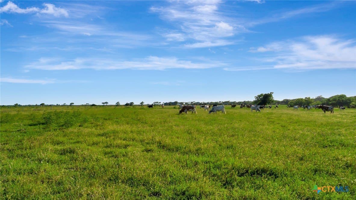 109 acres in Calhoun County - photo 41