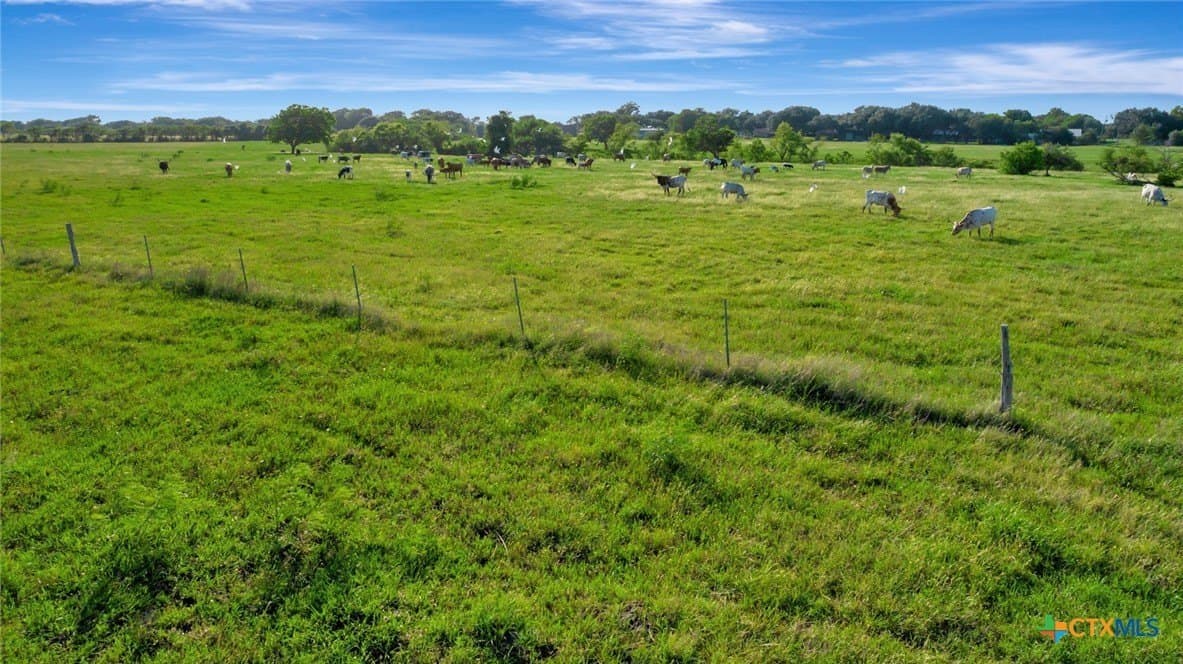 109 acres in Calhoun County - photo 30