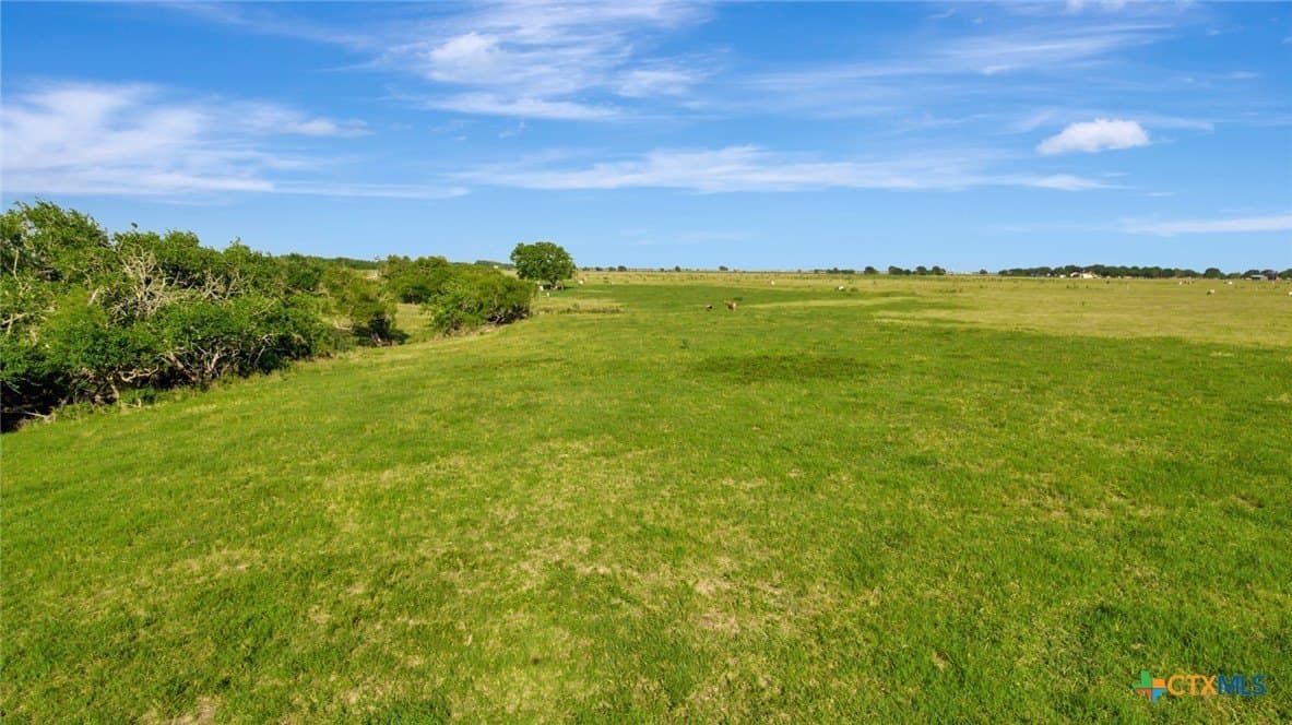 109 acres in Calhoun County - photo 13