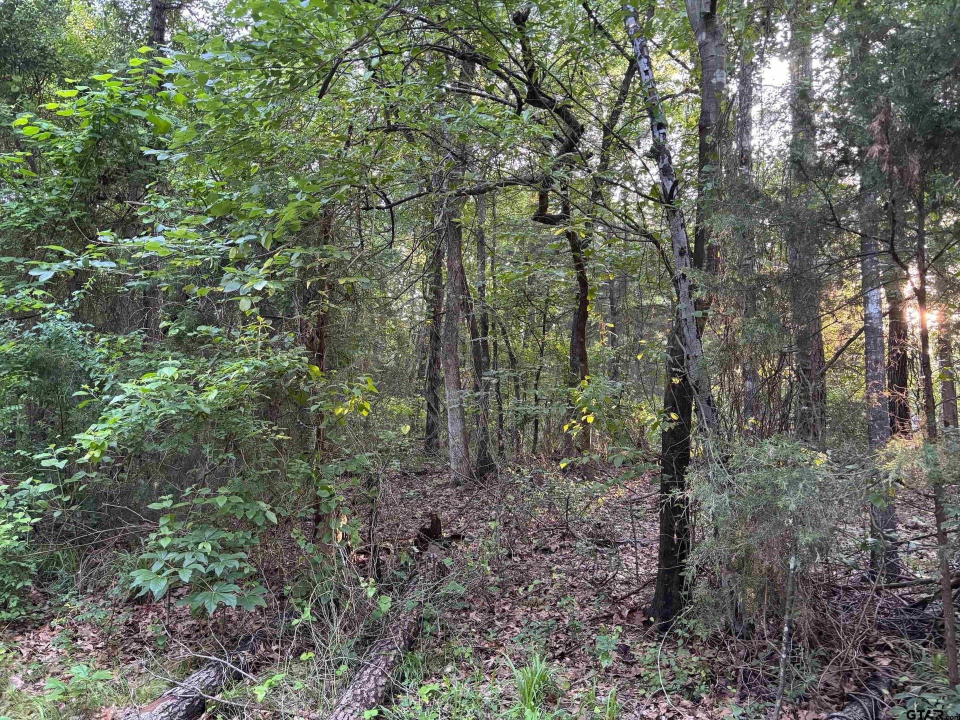 0 acres in Franklin County - photo 2