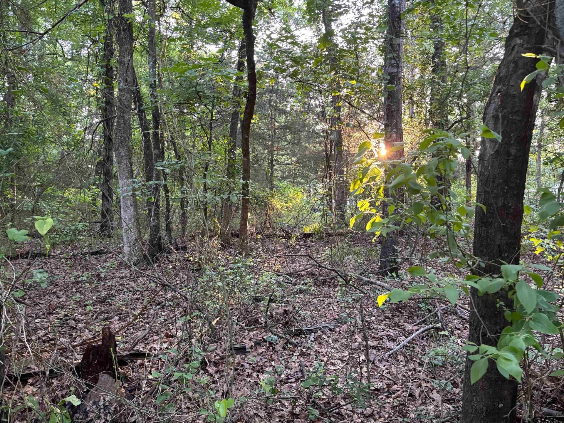 0 acres in Franklin County - photo 3