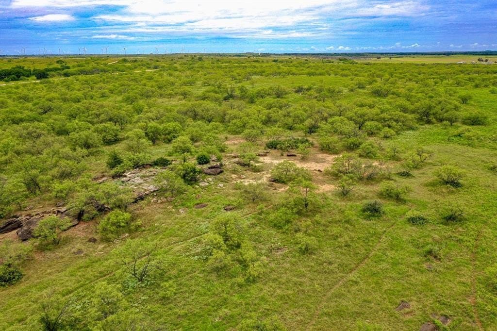 331 acres in Jack County - photo 19