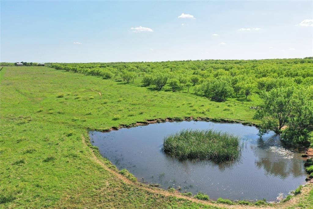 331 acres in Jack County - photo 13