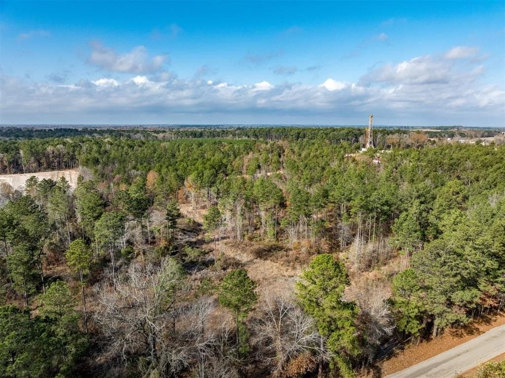 74.6 acres in Harrison County - photo 8