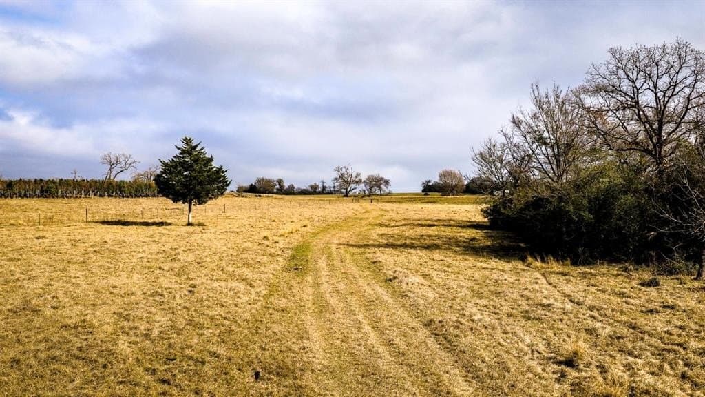 90.5 acres in Leon County - photo 35