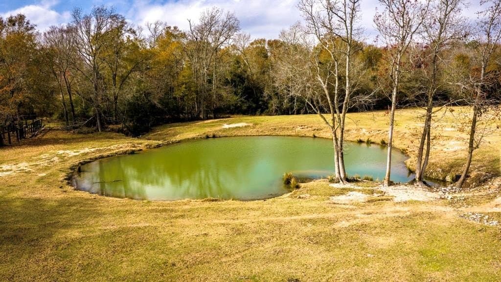 90.5 acres in Leon County - photo 33