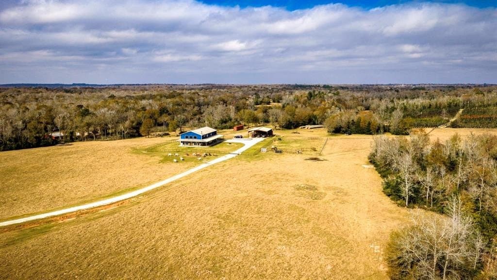 90.5 acres in Leon County - photo 34