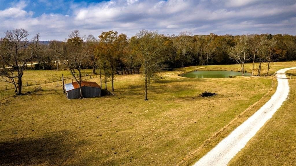 90.5 acres in Leon County - photo 32