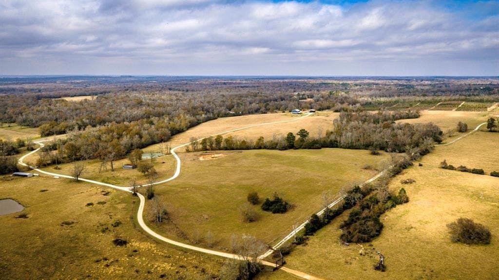 90.5 acres in Leon County - photo 31