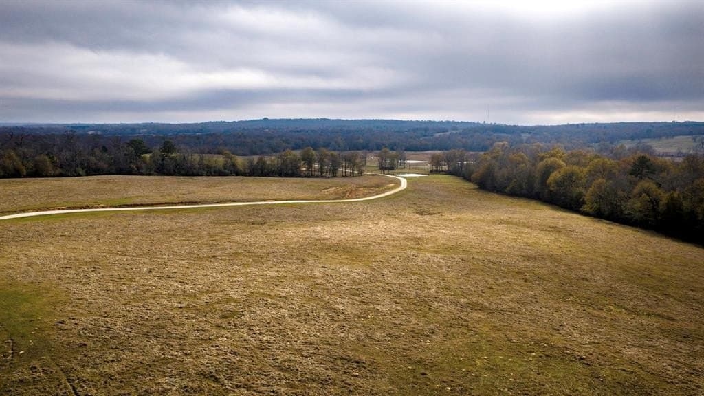 90.5 acres in Leon County - photo 29