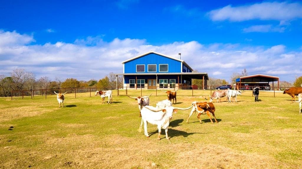 90.5 acres in Leon County - photo 39