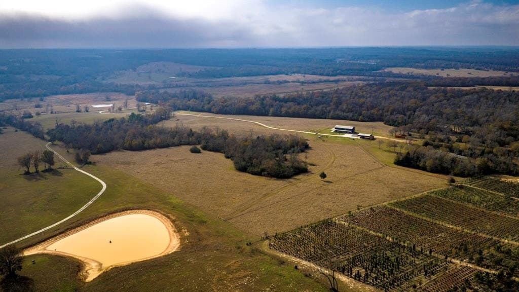 90.5 acres in Leon County - photo 36