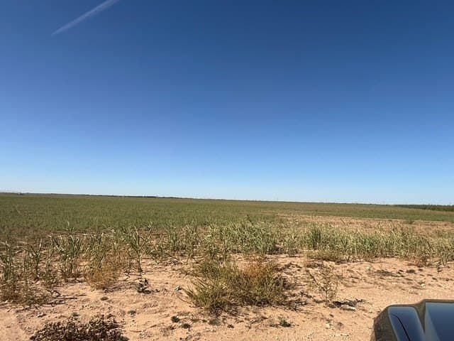 50 acres in Howard County - photo 9