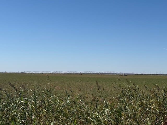 50 acres in Howard County - photo 5