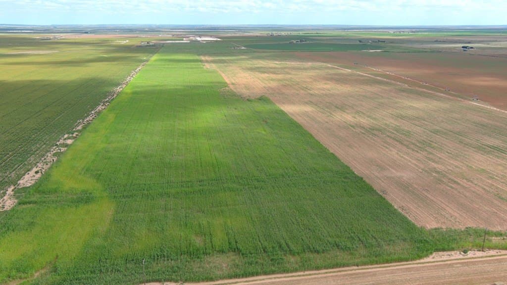 50 acres in Howard County - photo 18