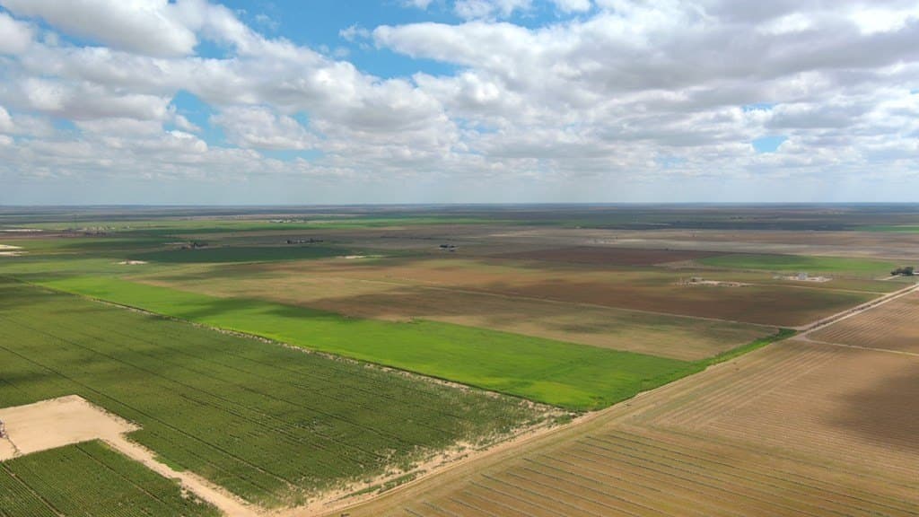 50 acres in Howard County - photo 22