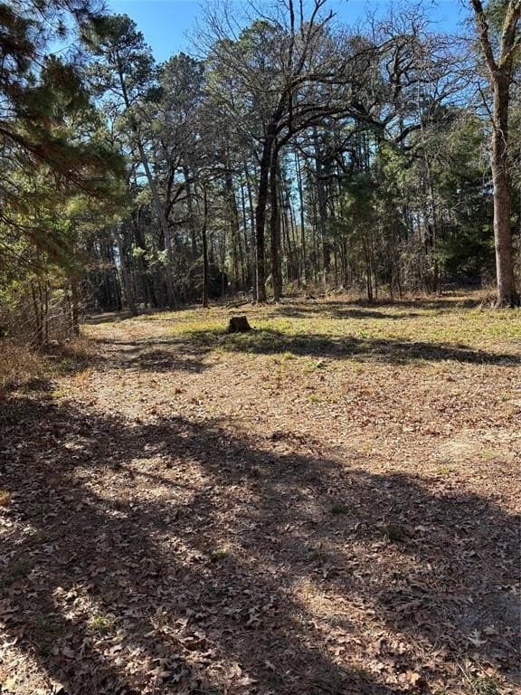 2.06 acres in Wood County - photo 10
