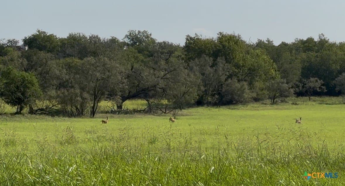 13.97 acres in Lampasas County - photo 4