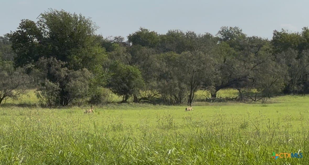 13.97 acres in Lampasas County - photo 10